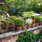 Rooftop Garden