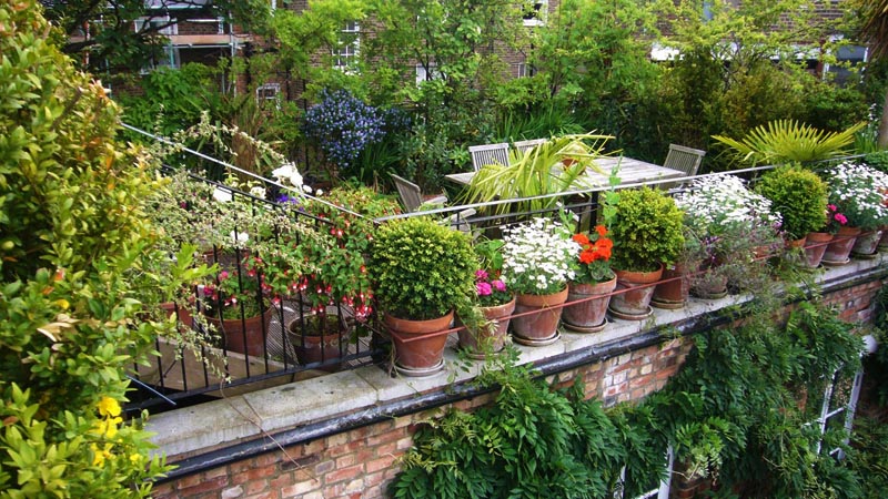 Rooftop Garden