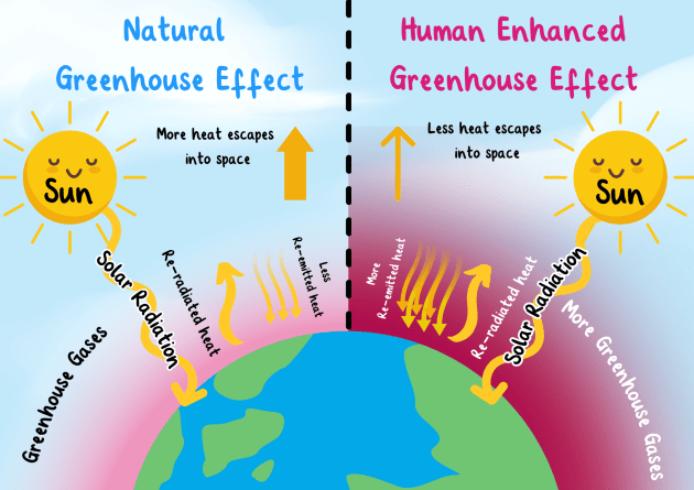 Greenhouse Effect